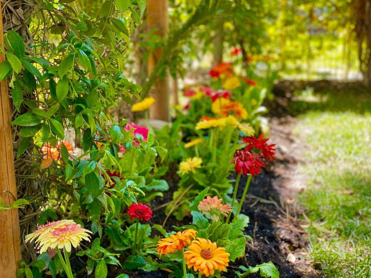 Beach Garden Paradise Durres Luaran gambar